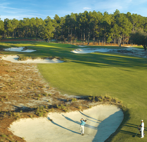 The restored Pinehurst No. 2 (Hole 14 pictured) features grass only on the fairways and greens.
